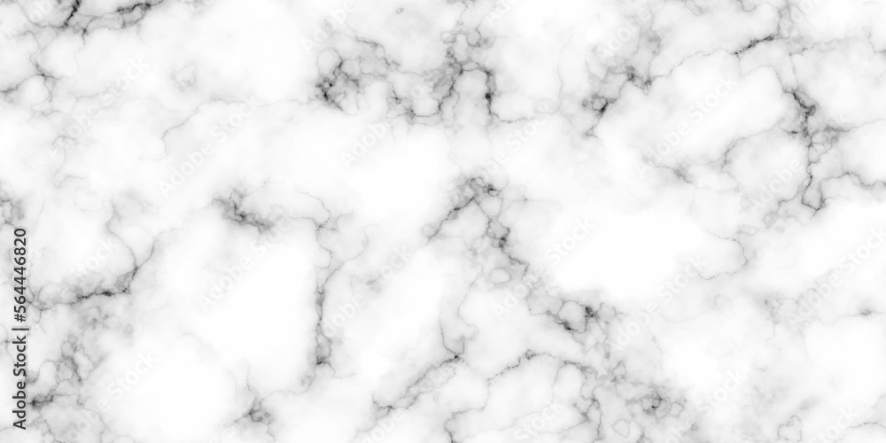 White marble texture panorama background pattern with high resolution. white architecuture italian marble surface and tailes for background or texture.
White marble texture panorama background pattern with high resolution. white architecuture italian marble surface and tailes for background or texture.