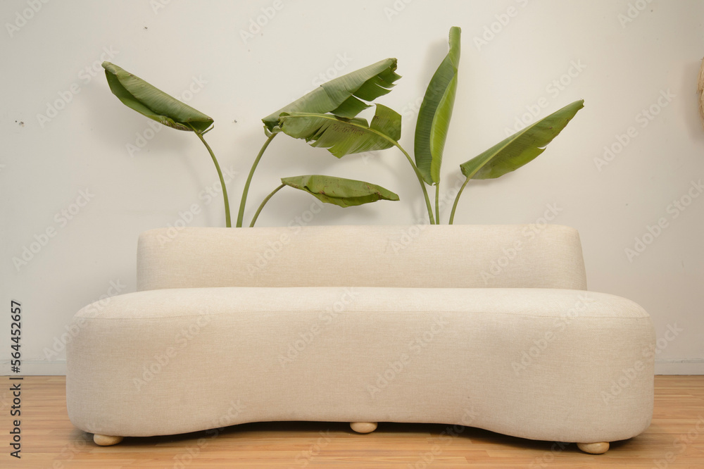 pillow, furniture, design, object, bedroom, isolated, cotton, texture, feather, comfort, sleep, bedding, soft, cushion, bed, home, decor, comfortable, sofa, fabric, decoration, textile, interior, soft pillow, furniture, design, object, bedroom, isolated, cotton, texture, feather, comfort, sleep, bedding, soft, cushion, bed, home, decor, comfortable, sofa, fabric, decoration, textile, interior, soft