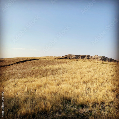 Fields of the Badlands