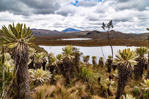 The moors of El Ángel, photo