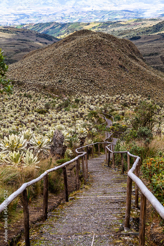  El Ángel Ecological Reserve photo