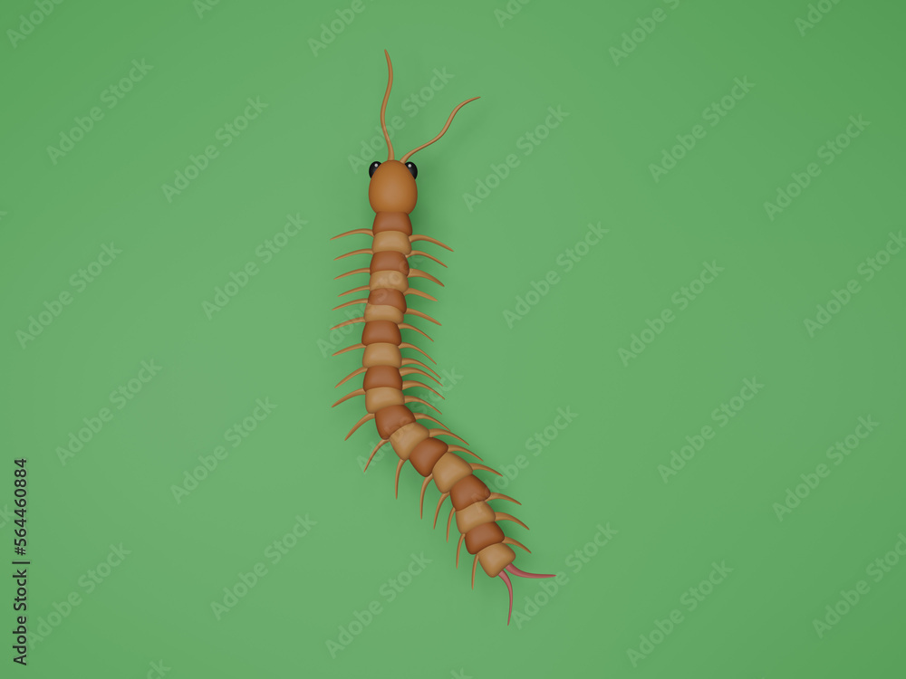 Fototapeta premium caterpillar on white background