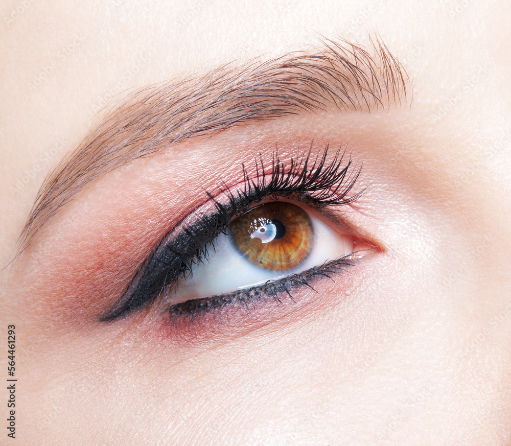 Closeup macro shot of human female eye with pink eyes shadows Closeup macro shot of human female eye with pink eyes shadows