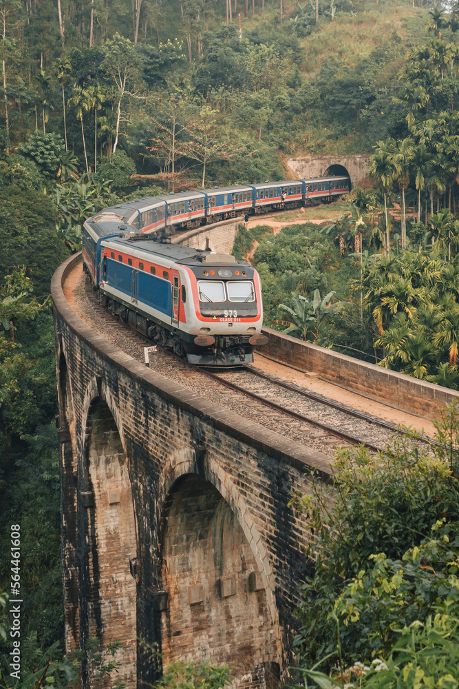 Fototapeta premium Ella, Sri Lanka - February 4th, 2022 : Train on the iconic Nine Arch Bridge Railway