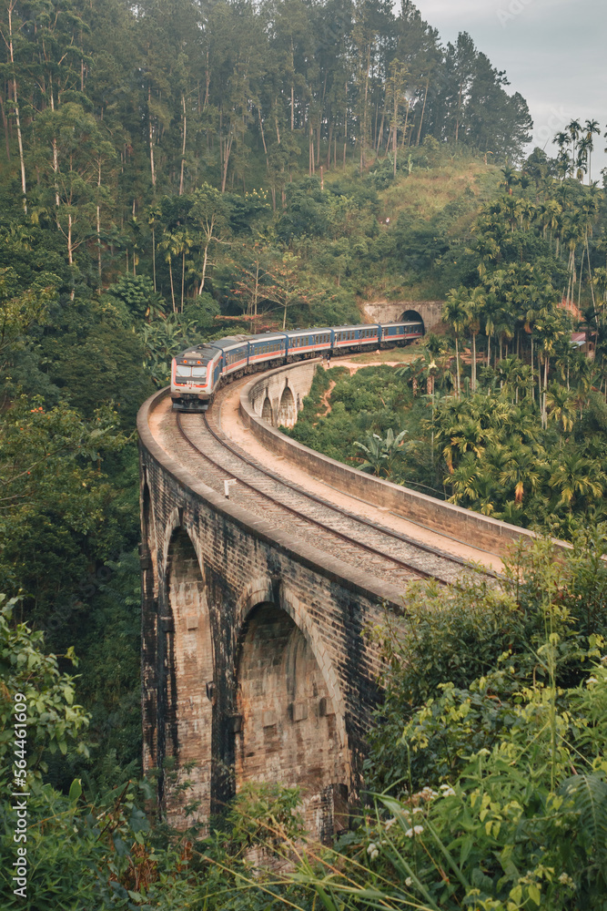 Ella, Sri Lanka - February 4th, 2022 : Train on the iconic Nine Arch Bridge Railway - obrazy, fototapety, plakaty 