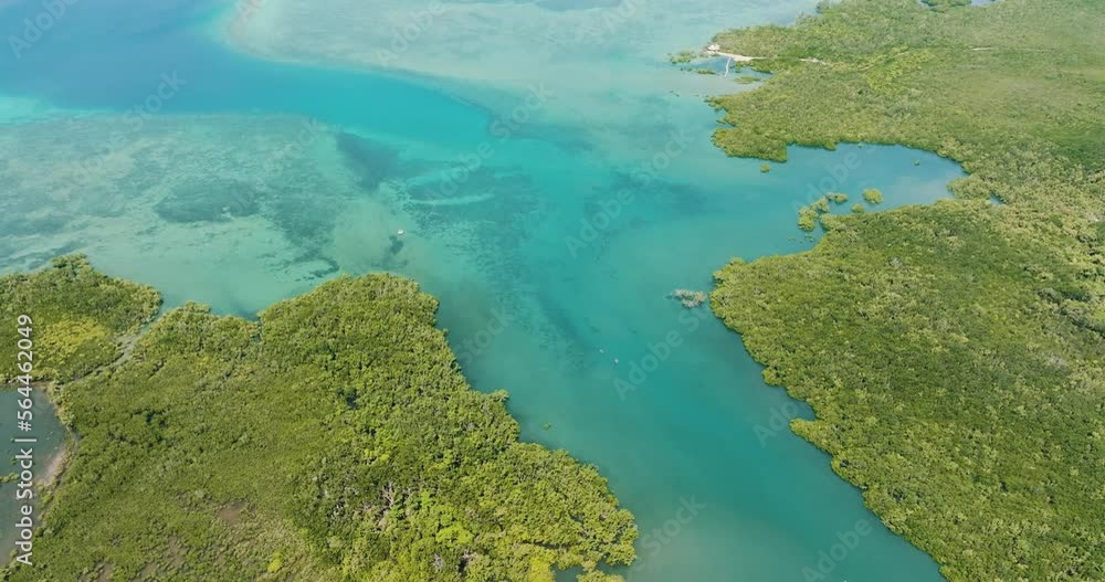 Mangroves in the turquoise water of a tropical sea. Negros, Philippines. Mangroves in the turquoise water of a tropical sea. Negros, Philippines.