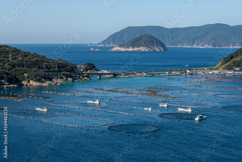 黒マグロの養殖が盛んな大月町柏島