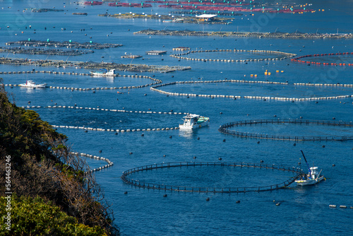 黒マグロの養殖が盛んな大月町柏島