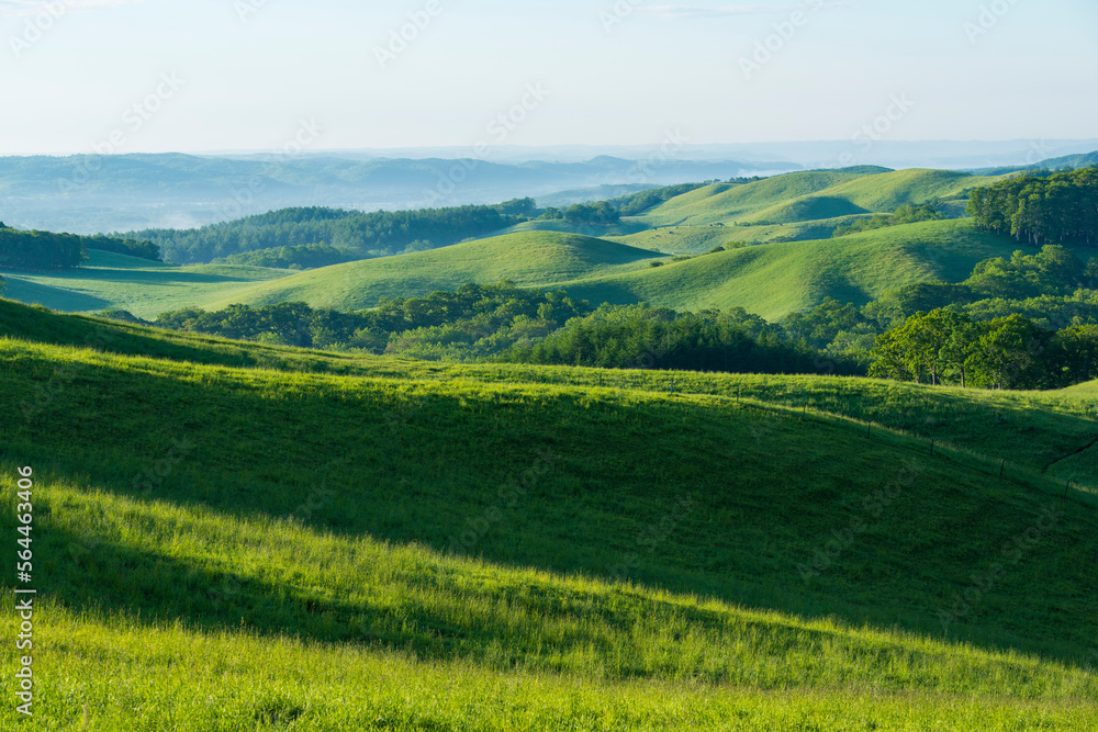 Fototapeta premium 初夏の根釧原野