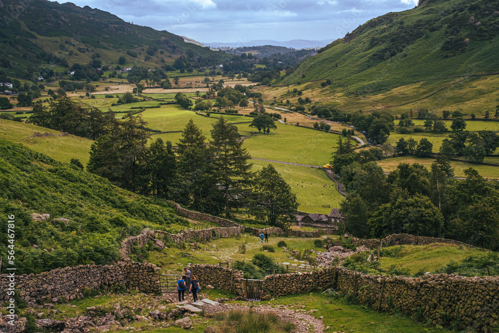Beautiful view of valley surrounded with fells mountains in Lake District, England, in summer; behind stone fences and gates sheep grazing in the valley