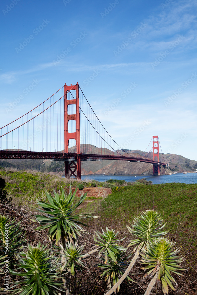 Fototapeta premium Golden Gate Bridge, California