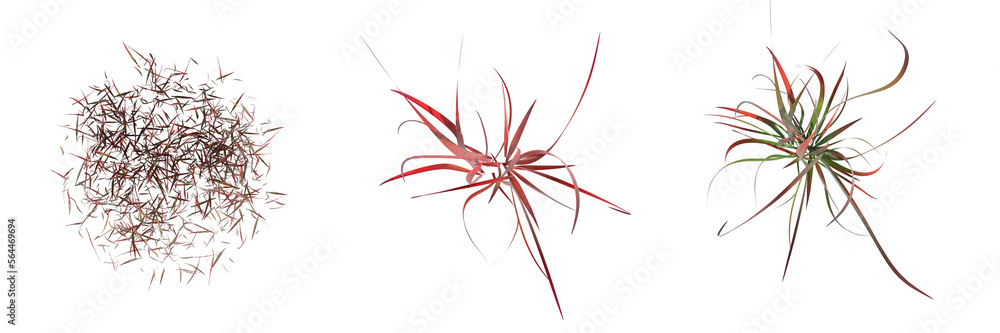 Naklejka premium wild field grass, top view, isolated on white background, 3D illustration, cg render