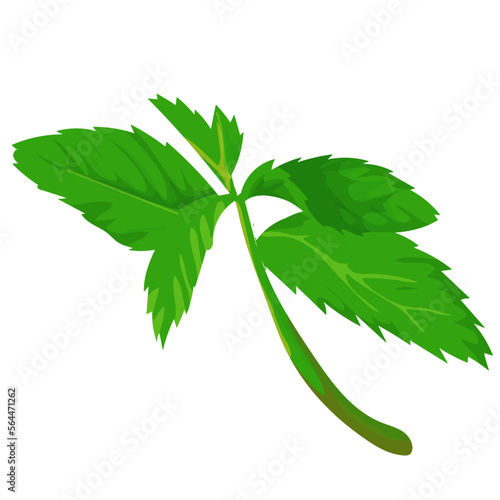 HERBS Health Food Store 