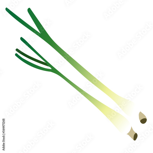 HERBS Health Food Store 