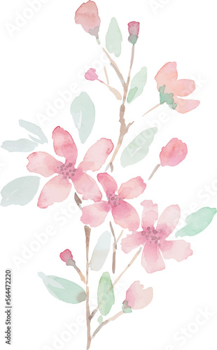 Fototapeta Naklejka Na Ścianę i Meble -  decorative watercolor pastel flower bouquet