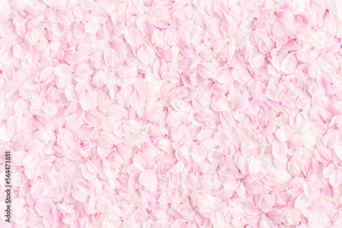 桜の花びら模様