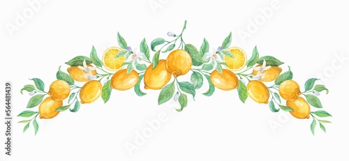 Garland of lemon branches in Provence style. Vintage clipart for menu design  packaging  invitations. Citrus fruits on branches with green leaves and flowers. Decorative composition with exotic fruits