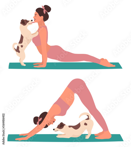 A woman in  up-facing dog pose and a down-facing dog pose with her pet. Fun yoga with a Jack Russell Terrier dog