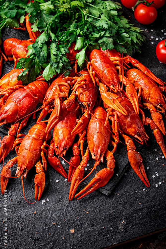 Boiled crayfish with parsley. On a black background. Boiled crayfish with parsley. On a black background.