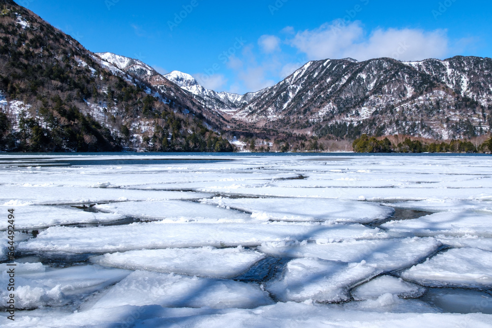 Obraz premium 湯ノ湖の氷