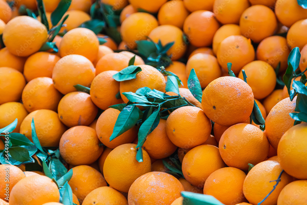 Oranges in box,  background. Fresh oranges variety grown in the shop.oranges suitable for juice, strudel, oranges puree, compote