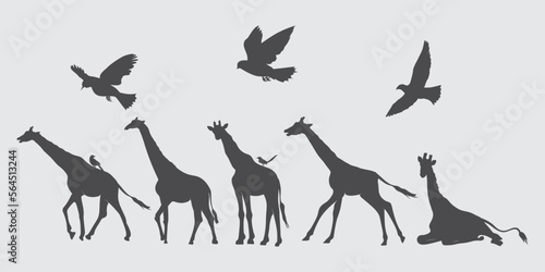set of giraffe and dove silhouettes. design for illustration elements