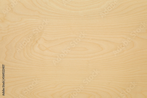 Fototapeta Naklejka Na Ścianę i Meble -  High key birch wood plank natural texture, plank texture background, plank tabletop background. Texture of wood. 