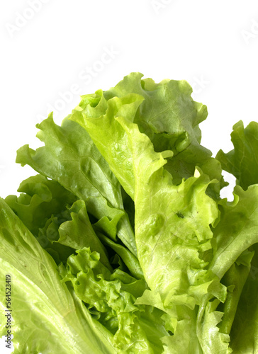 Green spinach on a white background is isolated