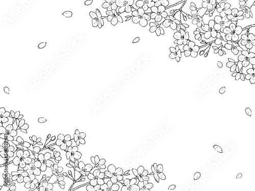 桜のペン画のフレーム