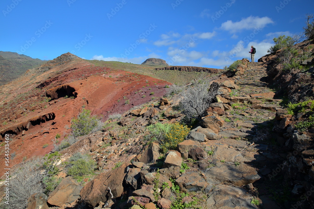 Colorful landscape viewed from a hiking trail (Sendera Quise) starting from the hamlet Quise (near Alajero) towards Playa La Cantera in the South of the island La Gomera, Canary Islands, Spain