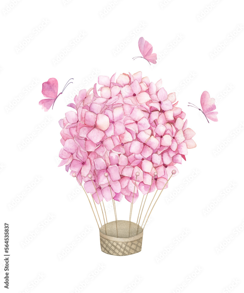 Watercolor print with pink aerostat balloon flowers and butterfly. Watercolour hydrangea. Floral plant on white background. Hand drawn illustration Watercolor print with pink aerostat balloon flowers and butterfly. Watercolour hydrangea. Floral plant on white background. Hand drawn illustration