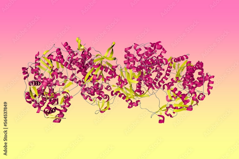 Influenza A virus H7N9 polymerase apo-protein dimer complex. Ribbons diagram in secondary structure coloring based on protein data bank entry 7zpm. Scientific background. 3d illustration Influenza A virus H7N9 polymerase apo-protein dimer complex. Ribbons diagram in secondary structure coloring based on protein data bank entry 7zpm. Scientific background. 3d illustration