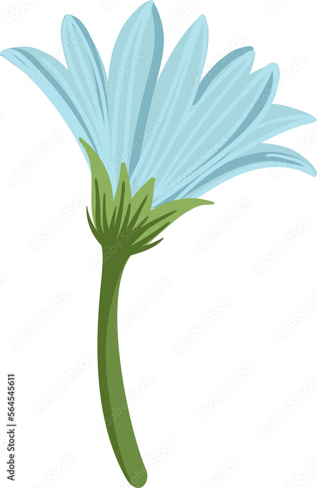 Blue flower. Illustration