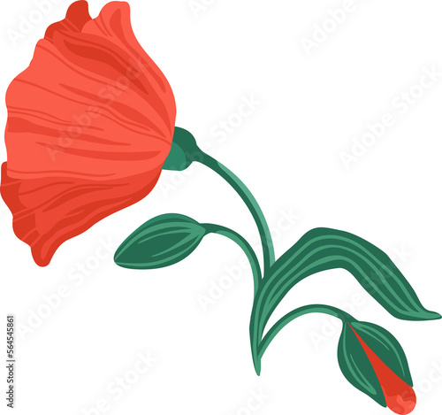 Red flower. Illustration