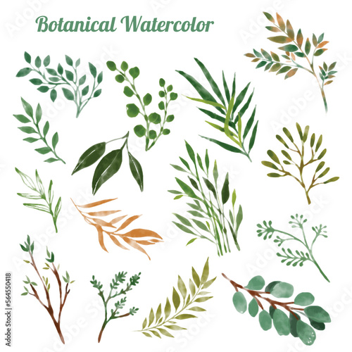 Vector of watercolor botanical elements leaves set.  Isolated Greenery for wedding invitation  baby shower  birthday cards diy  textile  wrapping paper  Nature clip art with forest greenery. 