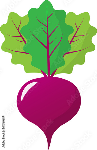 Beet isolated on white background. Eco foods. Website design, mobile app. Vector illustration vegetable in cartoon style