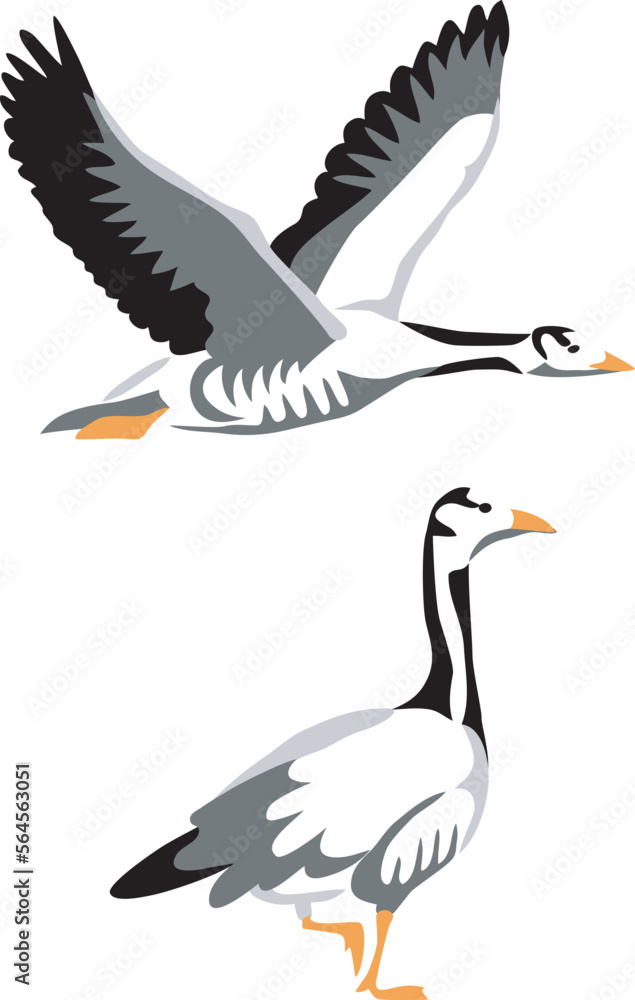 Obraz premium Bar-headed goose - illustration