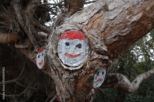 Drawings on a tree © Laiotz