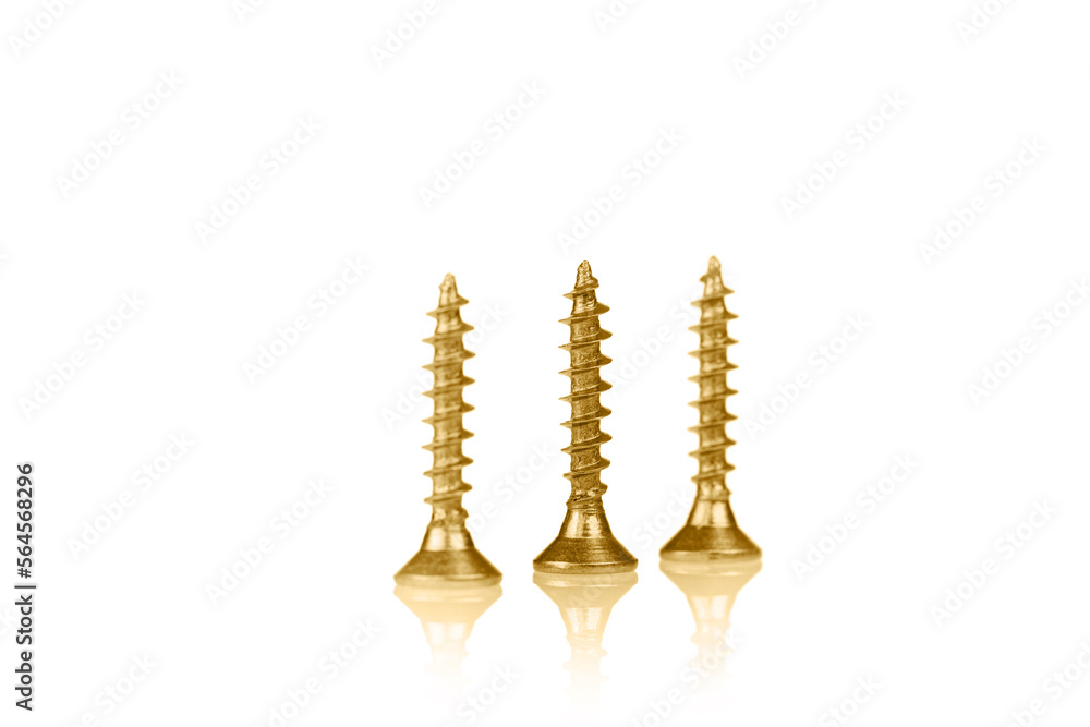 macro screw of golden color on a white background macro screw of golden color on a white background