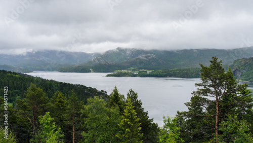 Fjord in northern Norway on a rainy day surrounded by mountains and trees in the foreground