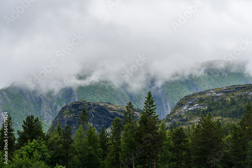 High mountain range in northern Norway covered in clouds on a rainy day with rocks and forest in the foreground