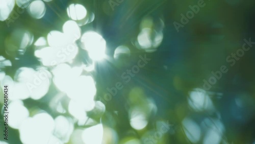 木漏れ日のイメージ