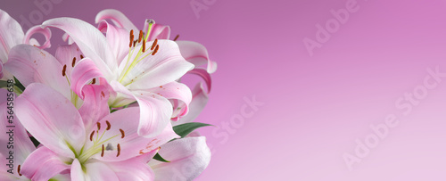 Tela Beautiful lily flowers bouquet on a pink background