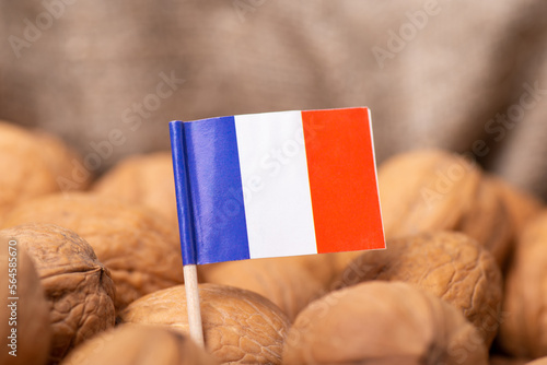 Flag of France on walnuts. Growing walnuts in France concept, agribusiness of nuts