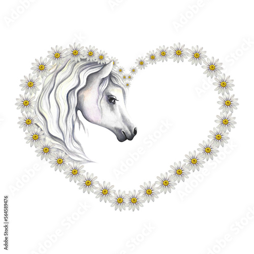 Portrait of a white horse decorated with heart-shaped daisies. Watercolor handmade. For printing, stickers and labels.
