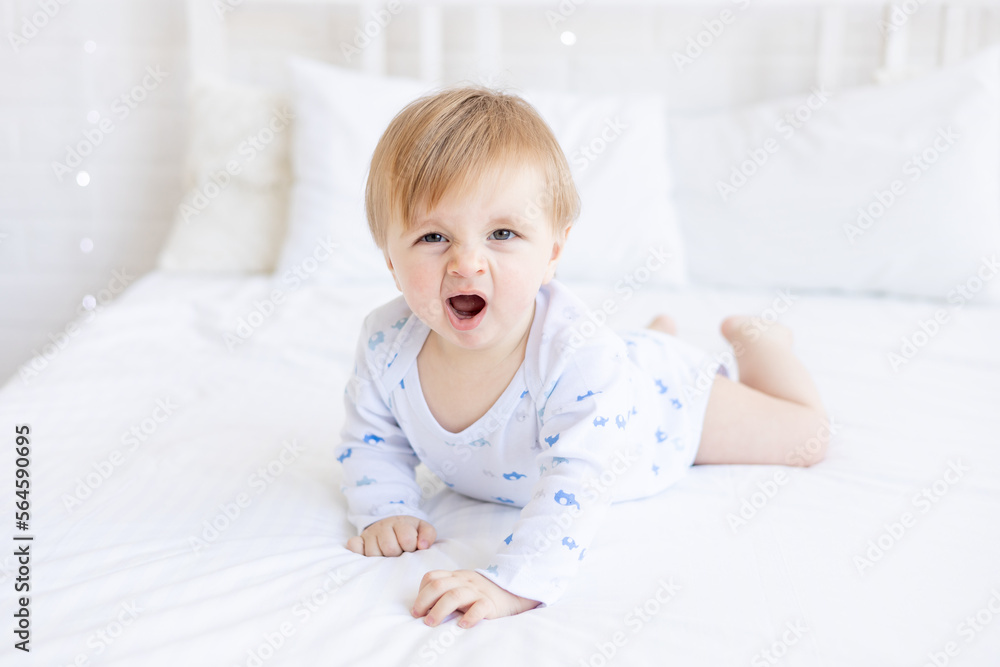 a yawning baby boy of six months blonde wants to sleep on a cot lying on his stomach in a room at home with white cotton bedding, the concept of baby products and accessories or healthy sleep a yawning baby boy of six months blonde wants to sleep on a cot lying on his stomach in a room at home with white cotton bedding, the concept of baby products and accessories or healthy sleep