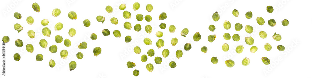 green fresh sprouts on transparent background, PNG green fresh sprouts on transparent background, PNG