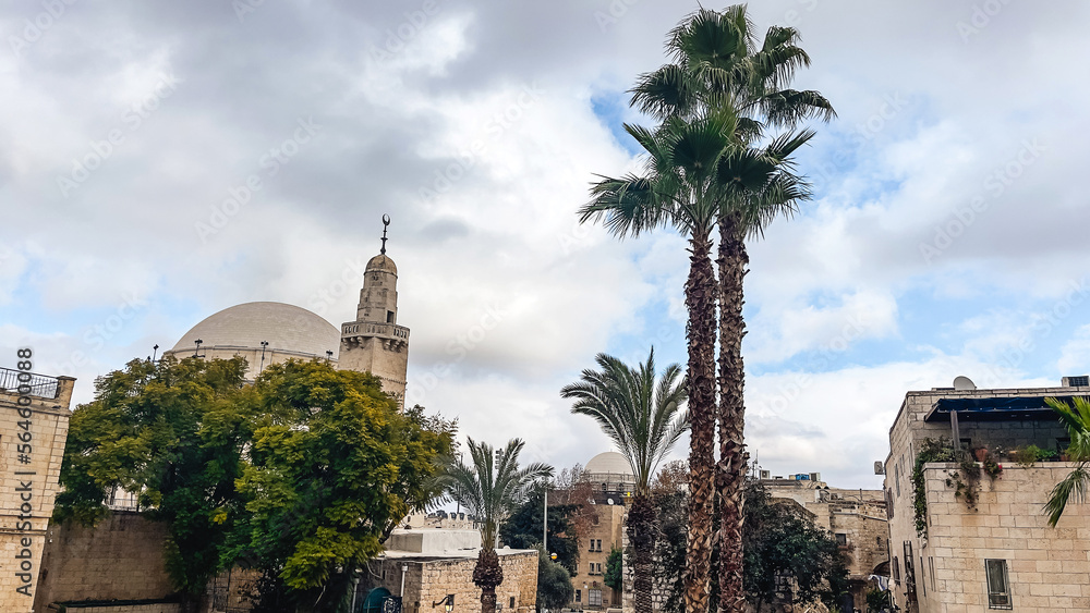 Panorama of Jerusalem to old city. Mosque, palm trees and cloudy sky