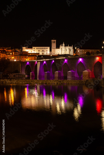 View of the Tordesillas bridge illuminated with LED lights. Long exposure night image