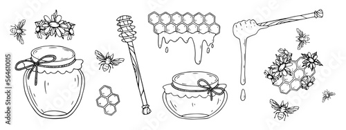 Linear sketch of jars of honey, bees, wild flowers, honeycombs. Honey clipart. Vector graphics.